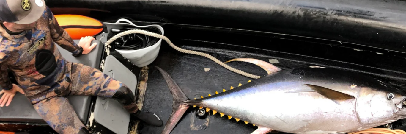 COMPLEMENTOS DE PESCA SUBMARINA