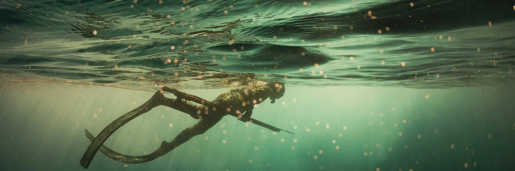 Rashguards, Wetsuits y Windshields