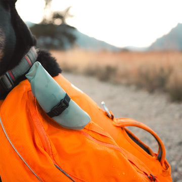 Bowl Para Perros Rover Cuenco Plegable Y Apto Para Mascotas