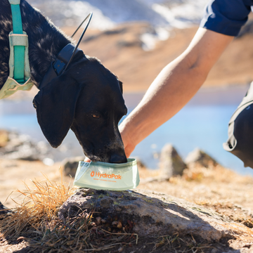 Bowl Para Perros Rover Cuenco Plegable Y Apto Para Mascotas