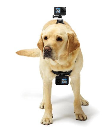 Arnés Para Tu Mascota Fetch