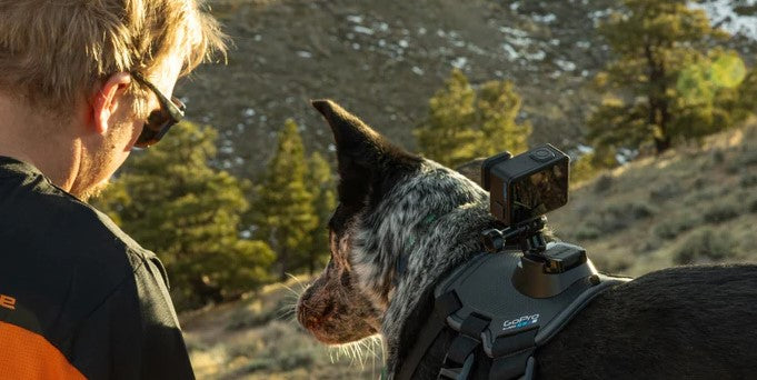 Arnés Para Tu Mascota Fetch