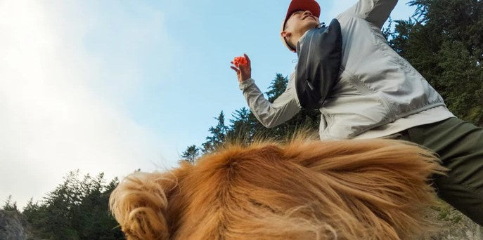 Arnés Para Tu Mascota Fetch