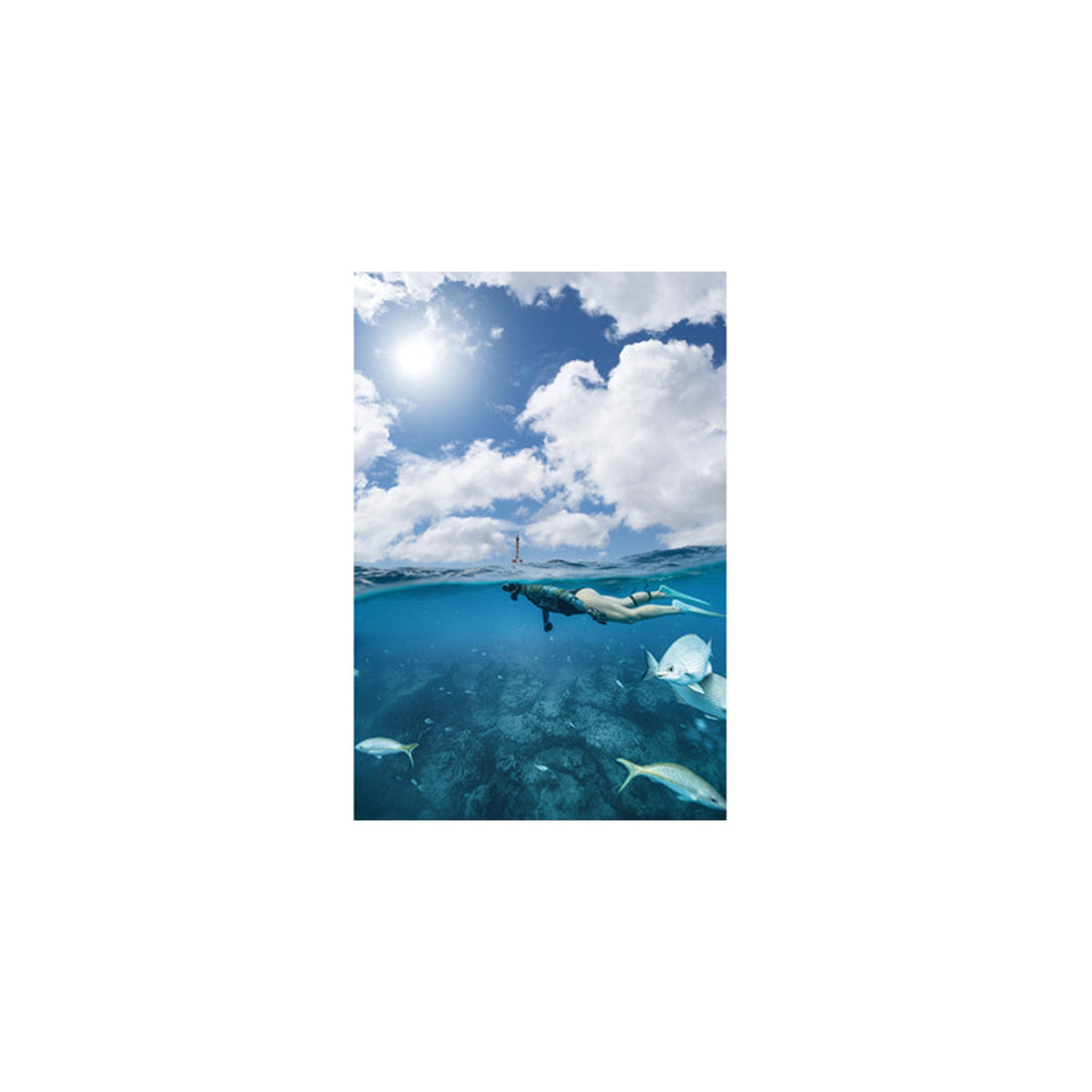 Aletas De Natación Riffe Kicks - Azul Caribeño / Menta