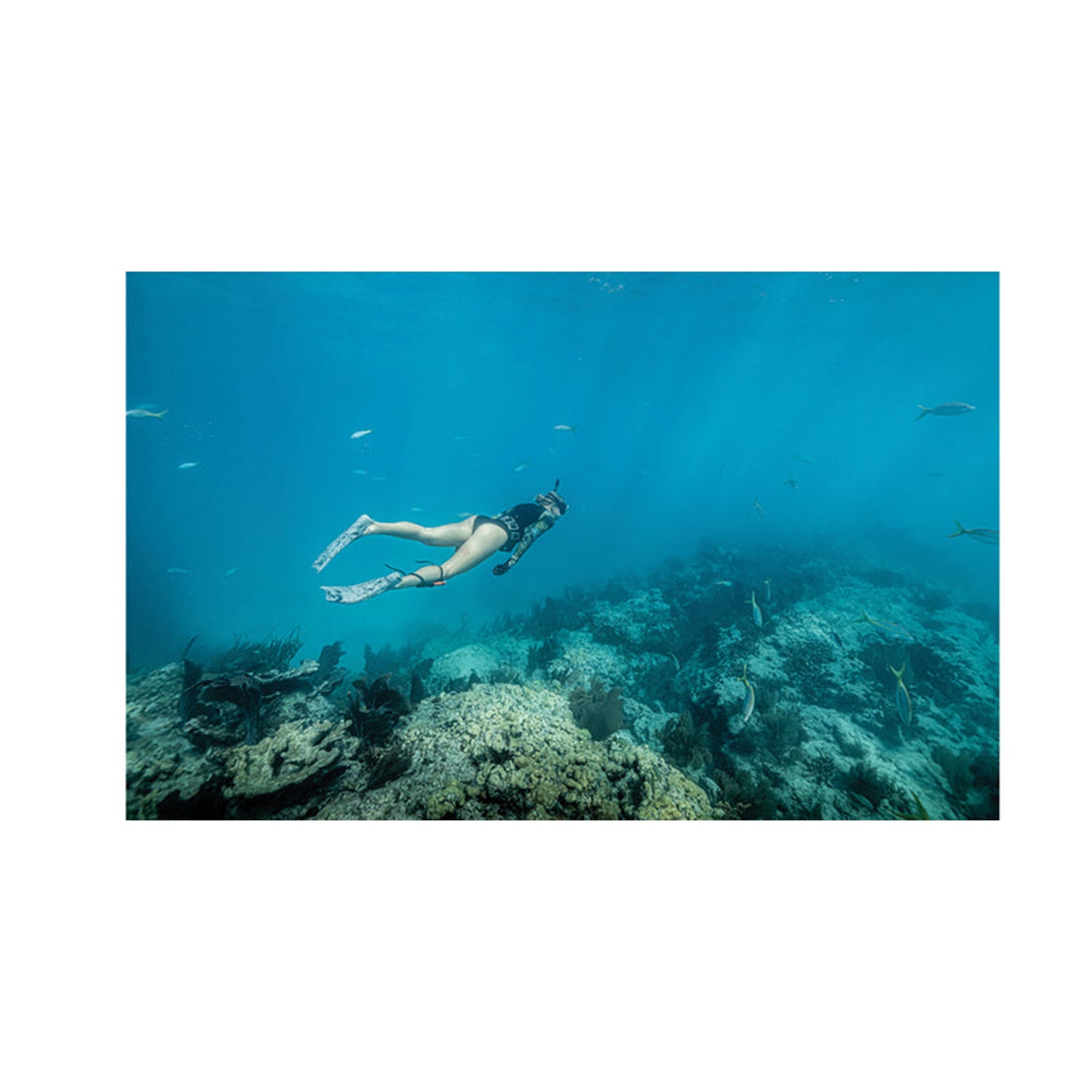 Aletas De Natación Riffe Kicks - Gris Tormenta / Remolino Negro