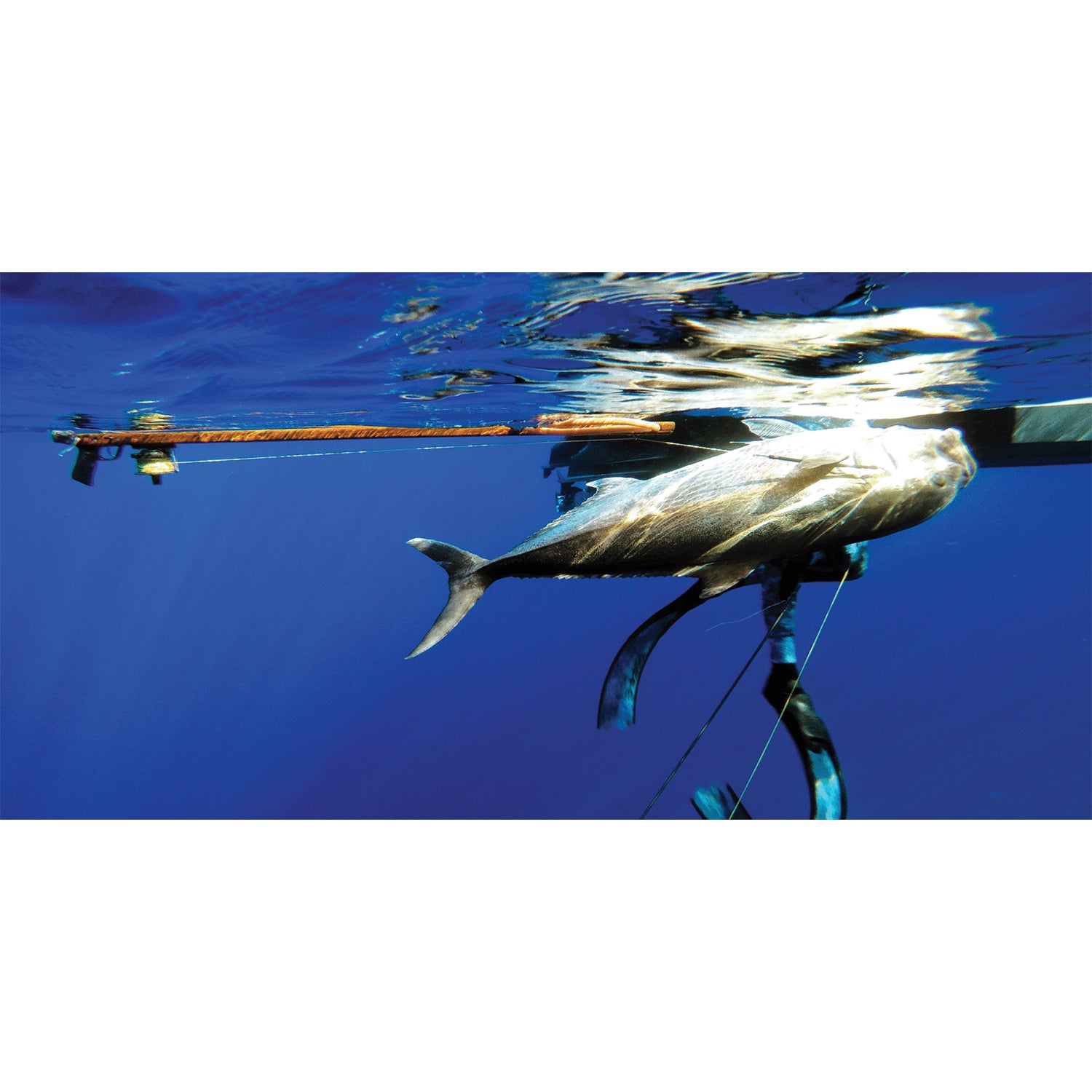 Arpón Serie Euro Riffe