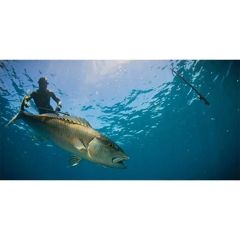 Carrete Horizontal - Original - Con linea PRO Spectra Riffe