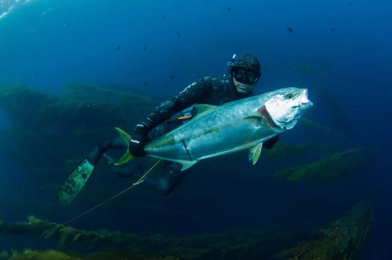 Guante De Alto Impacto Resistente A Cortes Holdfast Con Correa