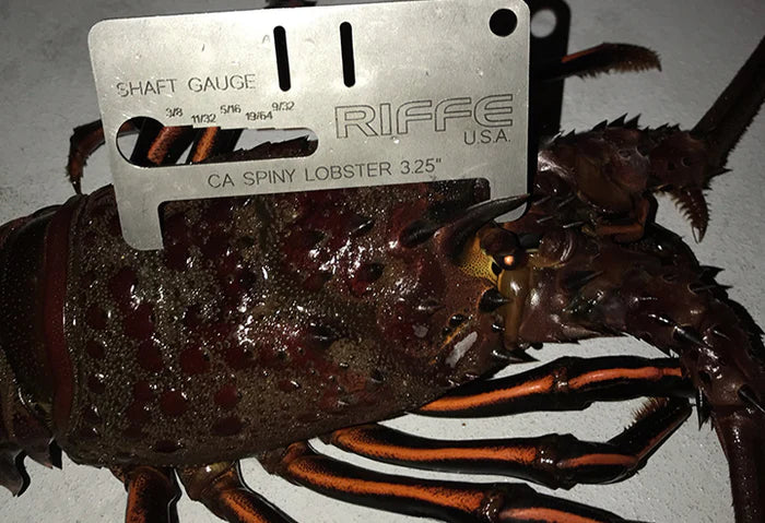Medidor De Langosta De LOBSTROSITY (California) 3.25”