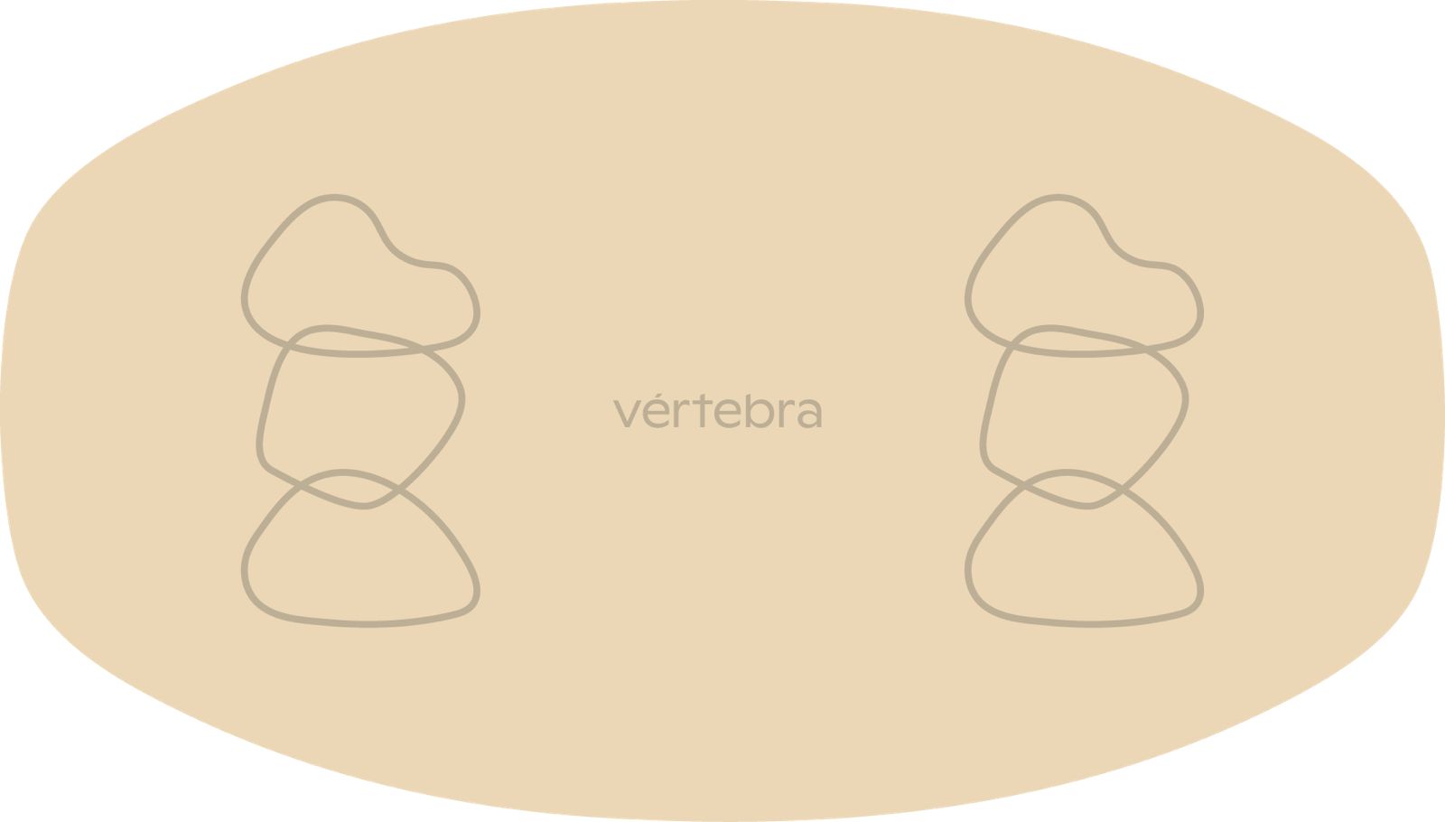 Tabla de Equilibrio VértebraMX®