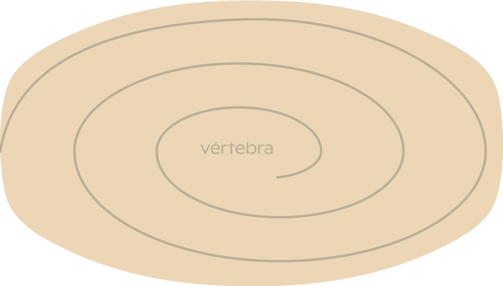Tabla de Equilibrio VértebraMX®