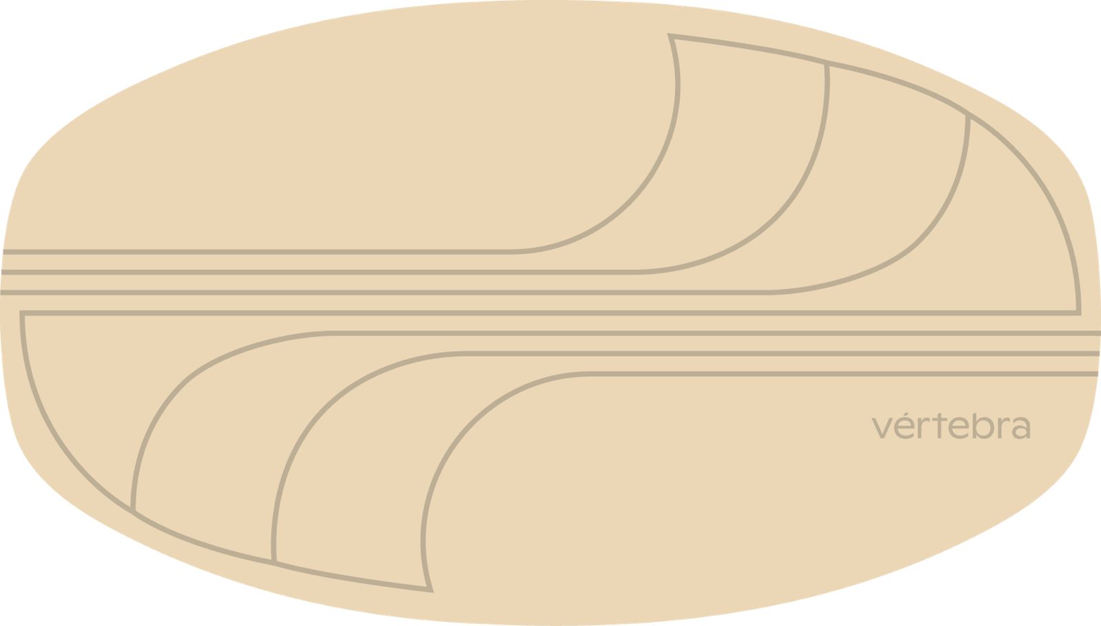 Tabla de Equilibrio VértebraMX®