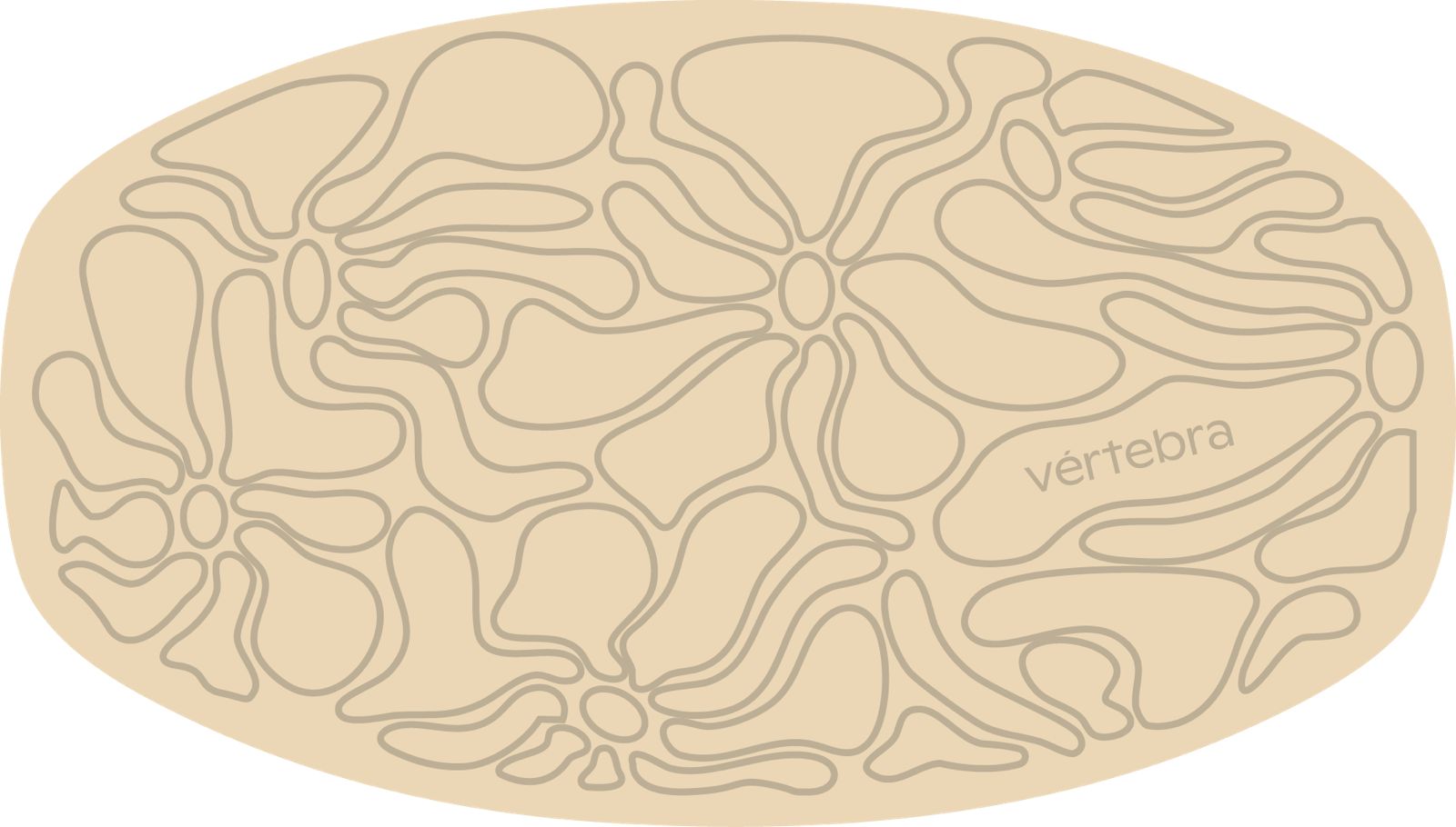 Tabla de Equilibrio VértebraMX®