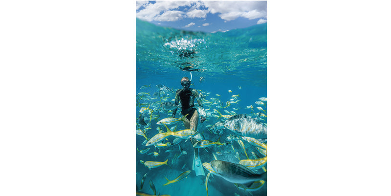 Traje De Neopreno De Manga Larga Riffe Syren De 2Mm Para Mujeres.