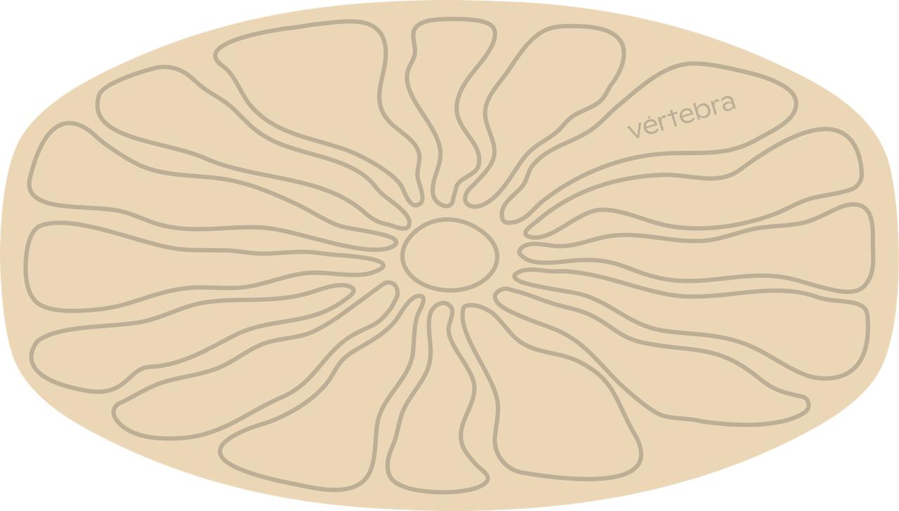 Tabla de Equilibrio VértebraMX®