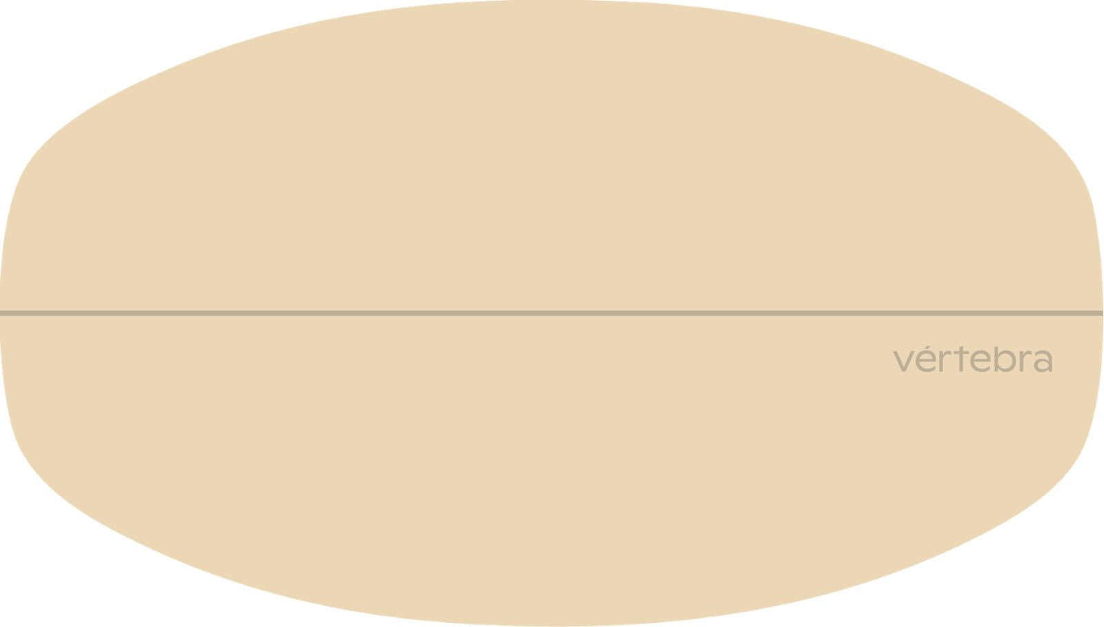 Tabla de Equilibrio VértebraMX®